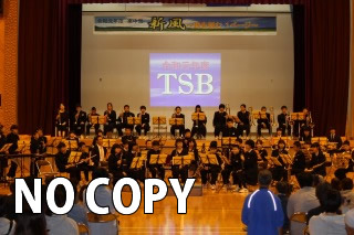 TSB（1）